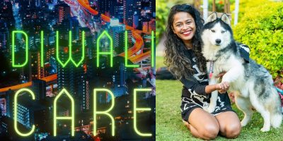 Diwali Care for Pets